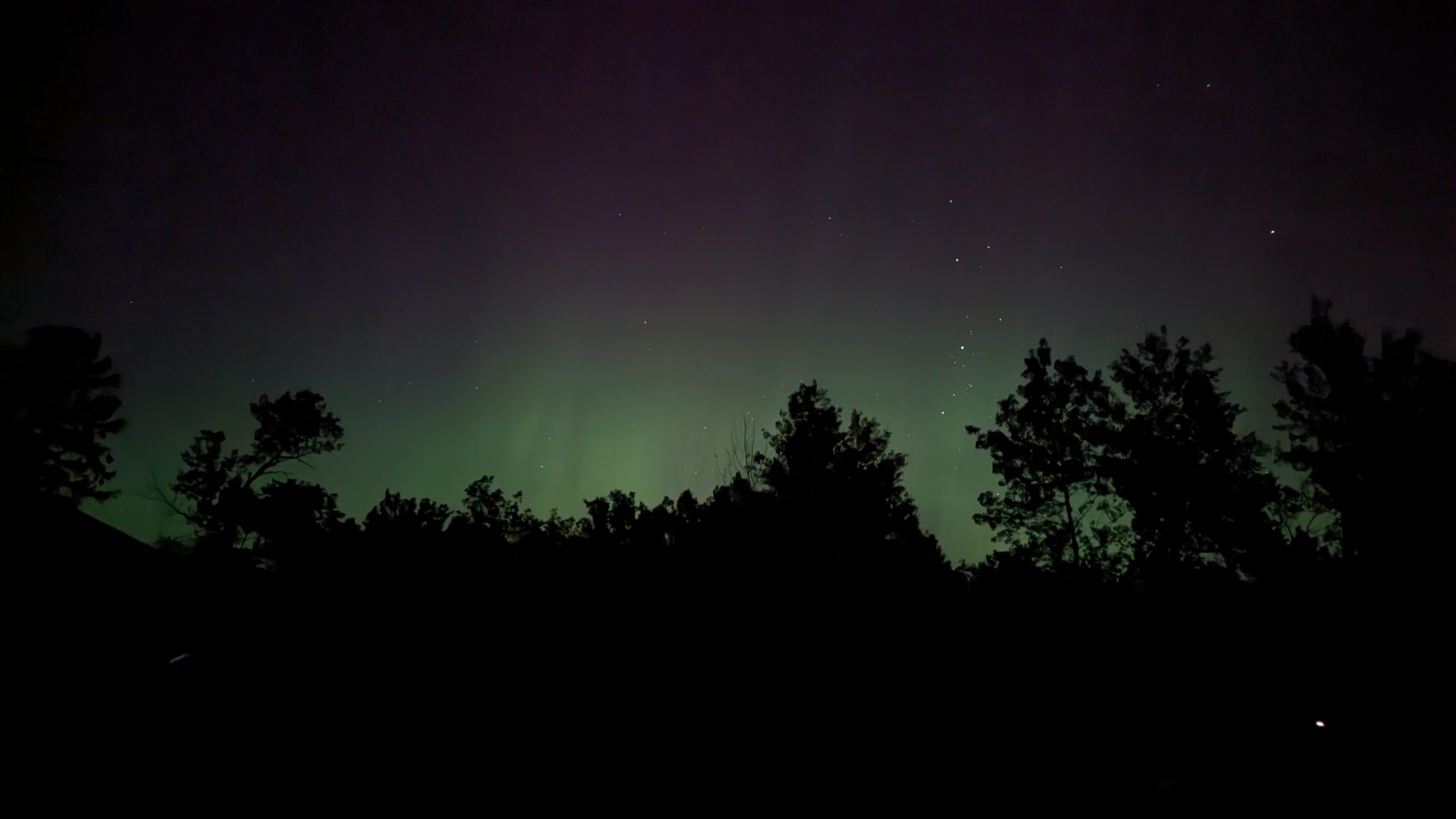 Northern lights with purple hues in the night sky